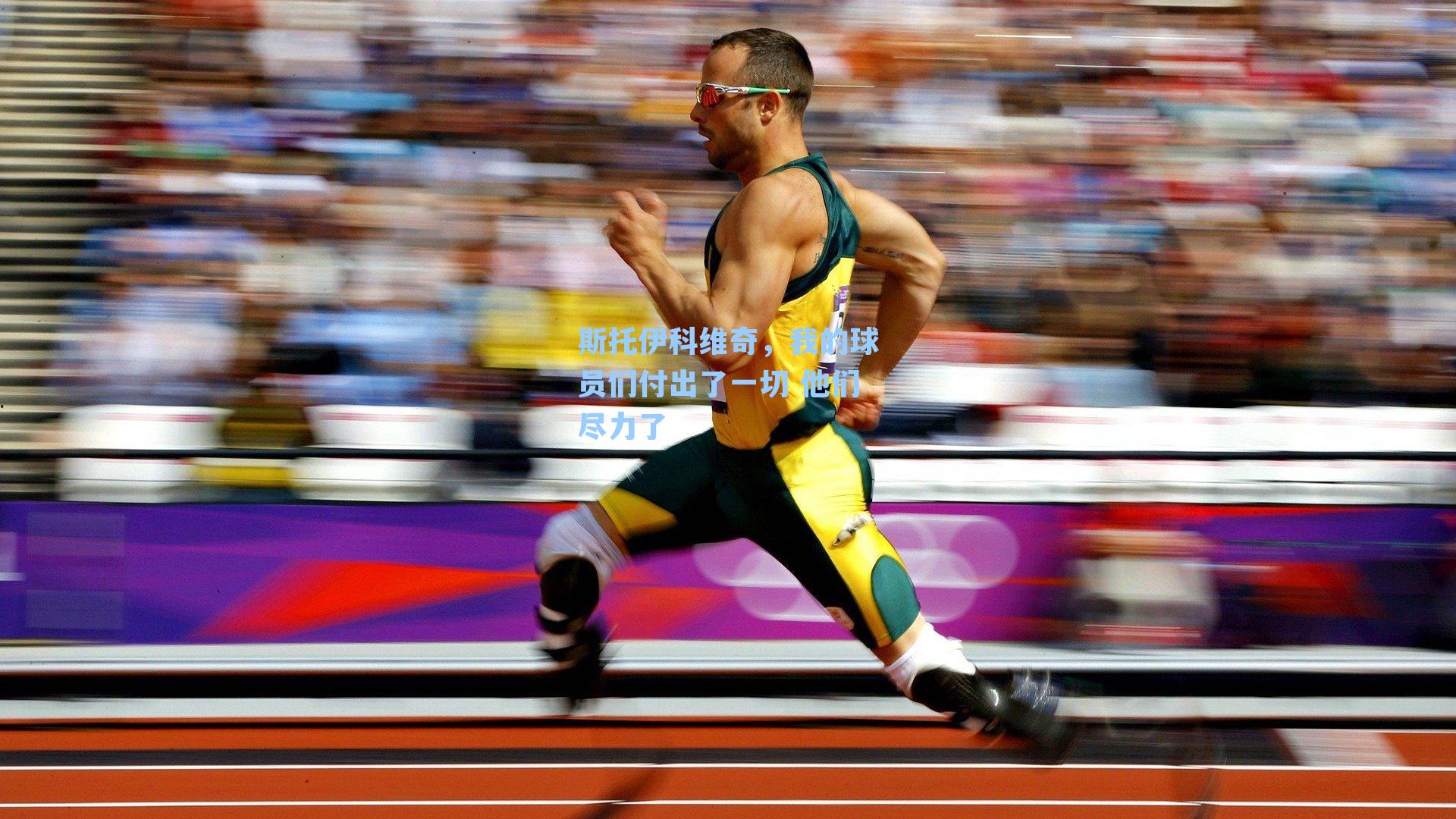斯托伊科维奇,我的球员们付出了一切 他们尽力了