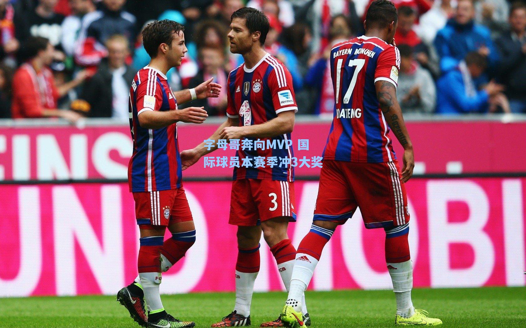 字母哥奔向MVP 国际球员本赛季冲3大奖